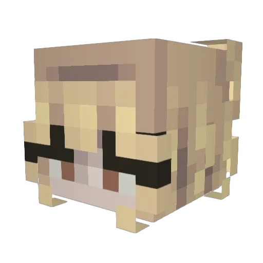 Whimsy_Water Minecraft avatar head, 3D render