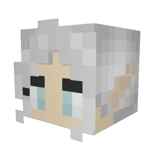 Whimsy_Witch Minecraft avatar head, 3D render