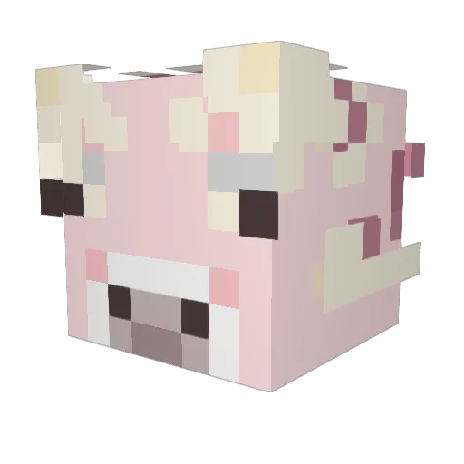 Whinncy Minecraft avatar head, 3D render