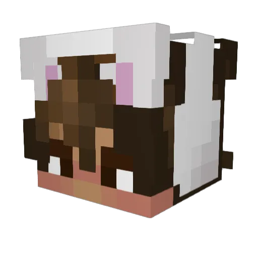 Whioi_ Minecraft avatar head, 3D render