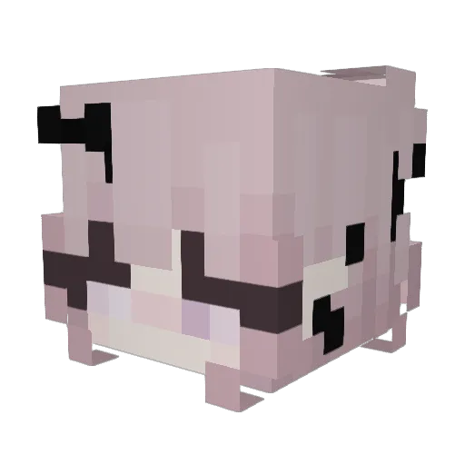 WhipMastaSlayer Minecraft avatar head, 3D render