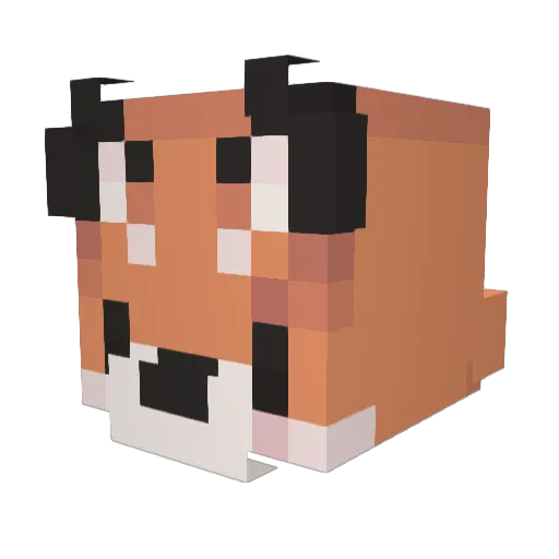 WhiplashGamz Minecraft avatar head, 3D render