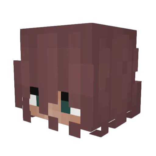 Whirlwind_ME Minecraft avatar head, 3D render