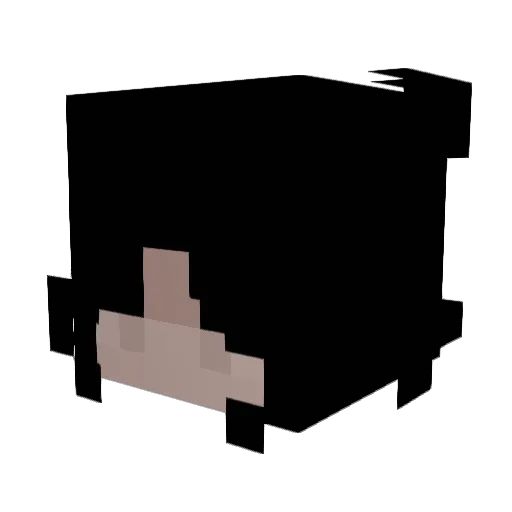 Whisence Minecraft avatar head, 3D render