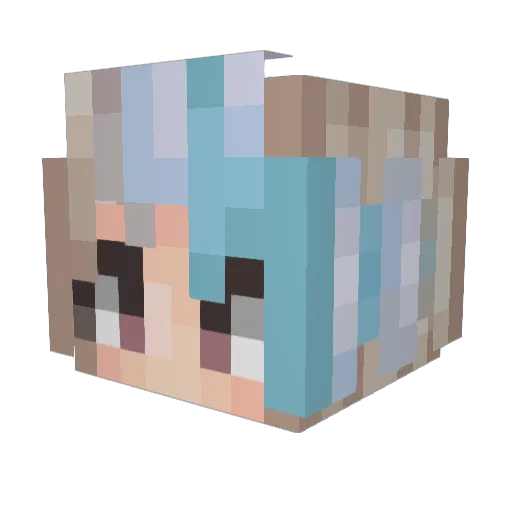 Whisker_Swag Minecraft avatar head, 3D render