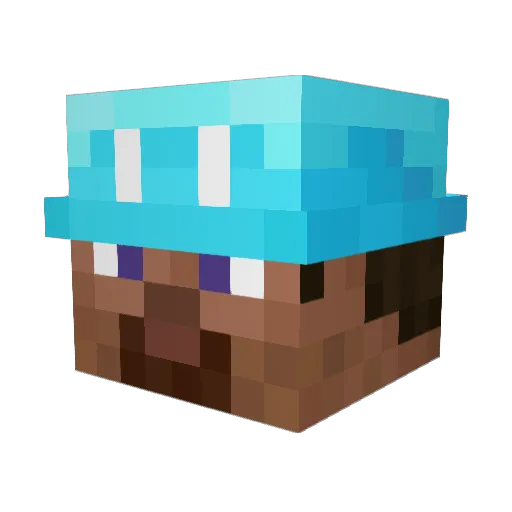 Whiskers2154 Minecraft avatar head, 3D render