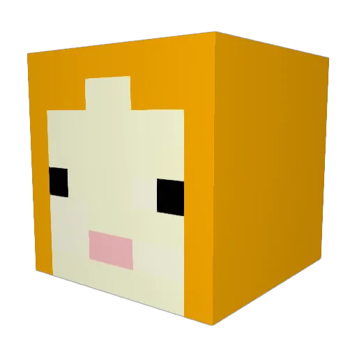 Whiskey8081 Minecraft avatar head, 3D render