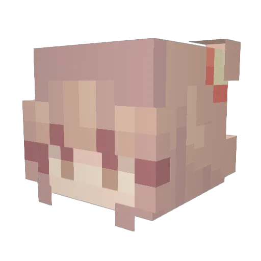 Whiskey_san Minecraft avatar head, 3D render