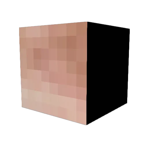 Whiskeyfish3 Minecraft avatar head, 3D render