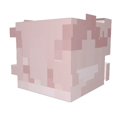 Whisper9420 Minecraft avatar head, 3D render