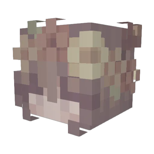 WhisperingOcean Minecraft avatar head, 3D render