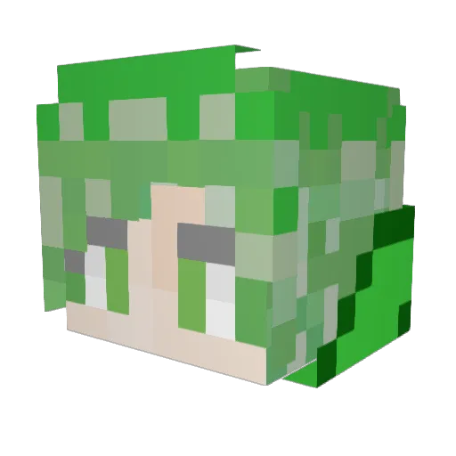 Whisplin Minecraft avatar head, 3D render