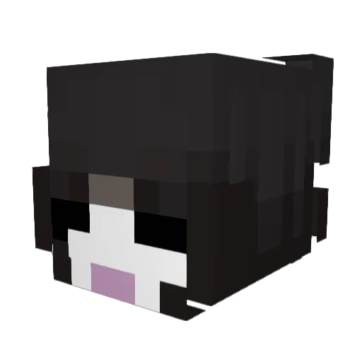WhitGirl Minecraft avatar head, 3D render