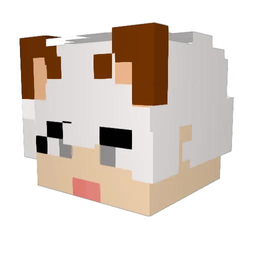 White5613 Minecraft avatar head, 3D render