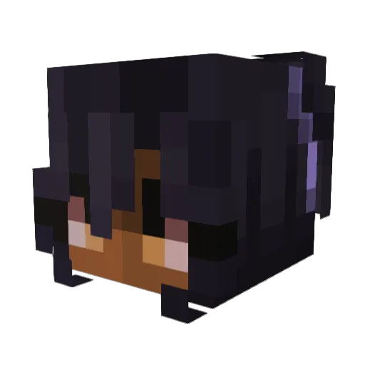 WhiteCatDragon1 Minecraft avatar head, 3D render