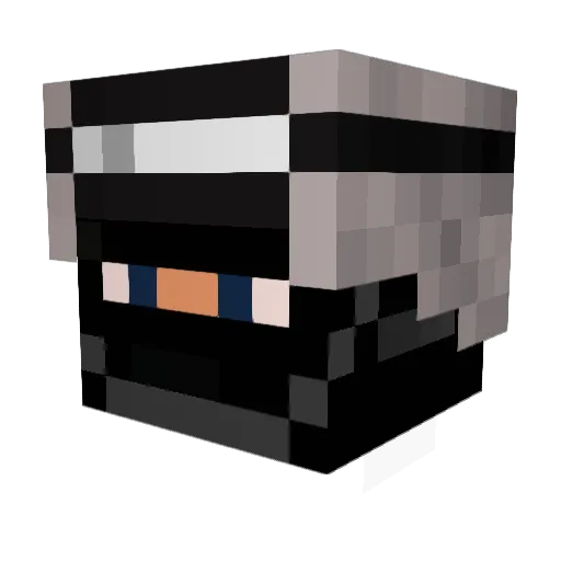 WhiteEyZz Minecraft avatar head, 3D render