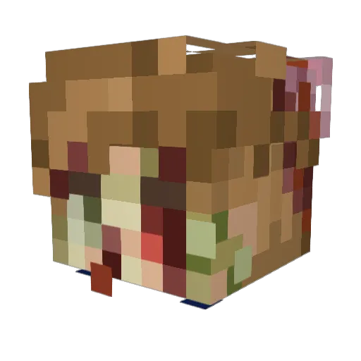 WhiteFowx Minecraft avatar head, 3D render