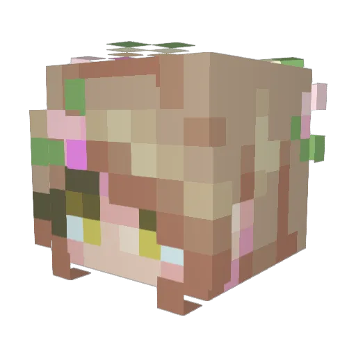 WhiteFox_19 Minecraft avatar head, 3D render