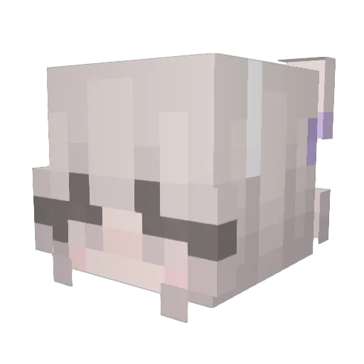 WhiteGambit1 Minecraft avatar head, 3D render
