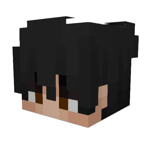 WhiteHatVirus Minecraft avatar head, 3D render