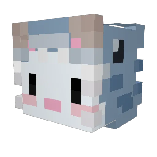 WhiteMCWizard Minecraft avatar head, 3D render