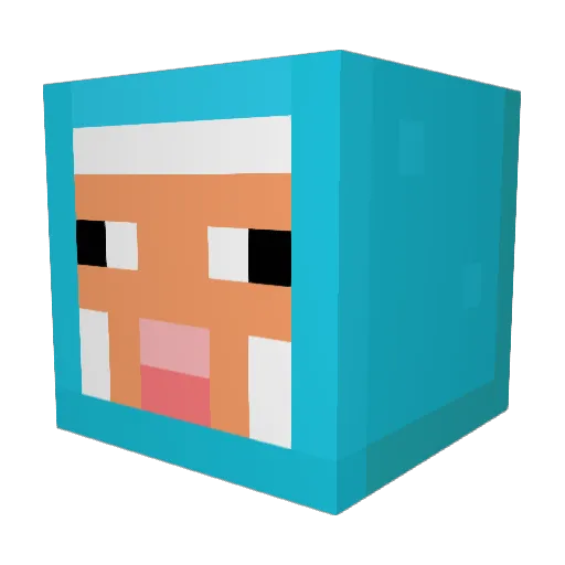 WhiteNOT_ Minecraft avatar head, 3D render