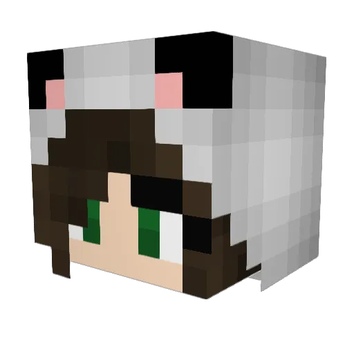 WhitePanda19977 Minecraft avatar head, 3D render