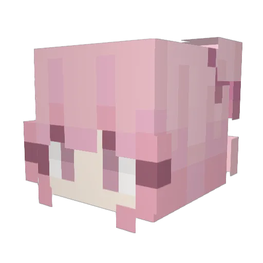 WhiteQWQ123 Minecraft avatar head, 3D render