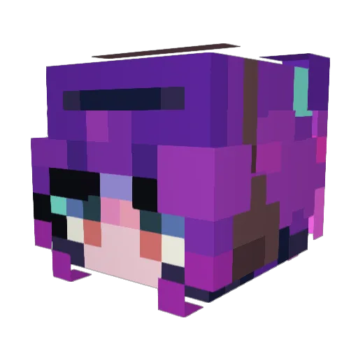 WhiteRabbit062 Minecraft avatar head, 3D render