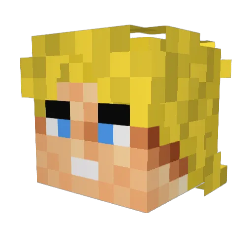 WhiteRicer Minecraft avatar head, 3D render