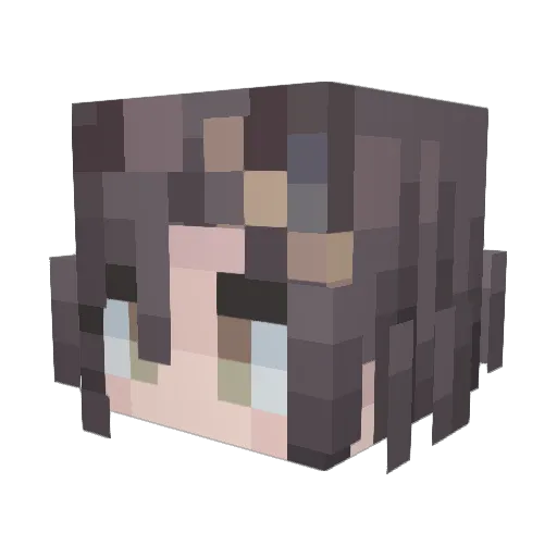 WhiteWagtail000 Minecraft avatar head, 3D render