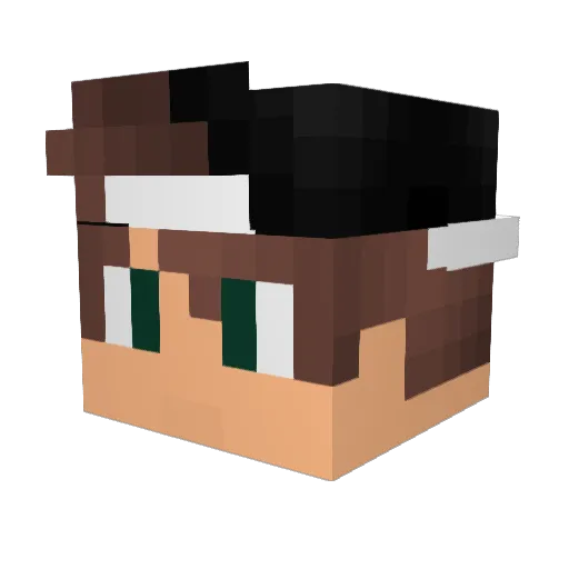 WhiteWaterRiver Minecraft avatar head, 3D render