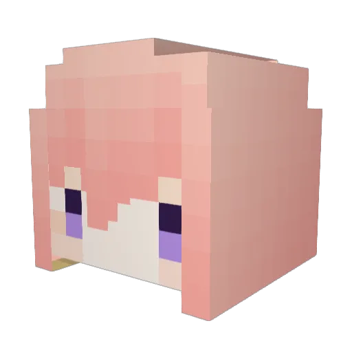 WhiteWhite20 Minecraft avatar head, 3D render
