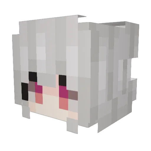 WhiteWish2002 Minecraft avatar head, 3D render