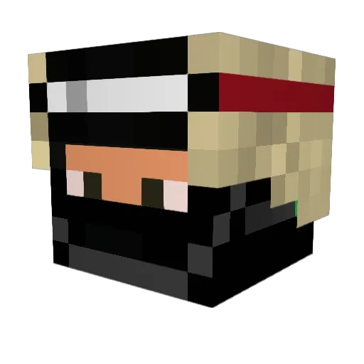 White_Biscuit Minecraft avatar head, 3D render