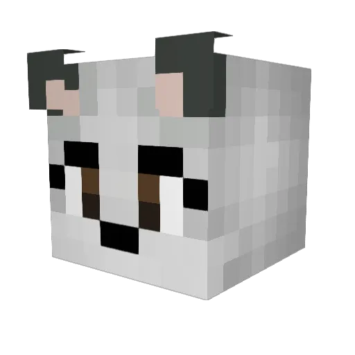 White_Fox100 Minecraft avatar head, 3D render