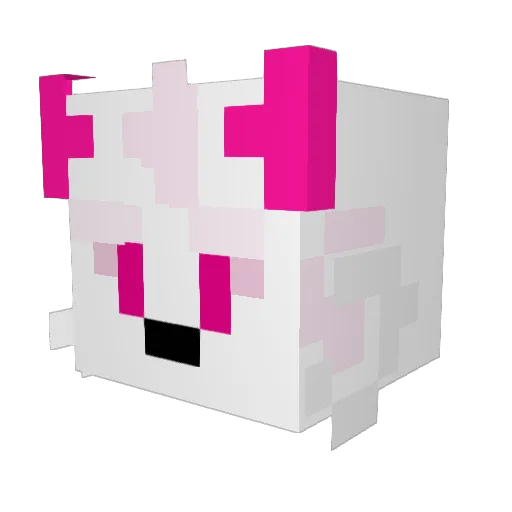 White_Fox11 Minecraft avatar head, 3D render