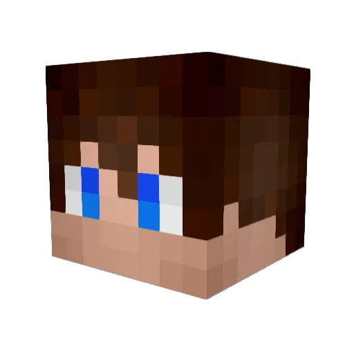 White_Kangaroo Minecraft avatar head, 3D render