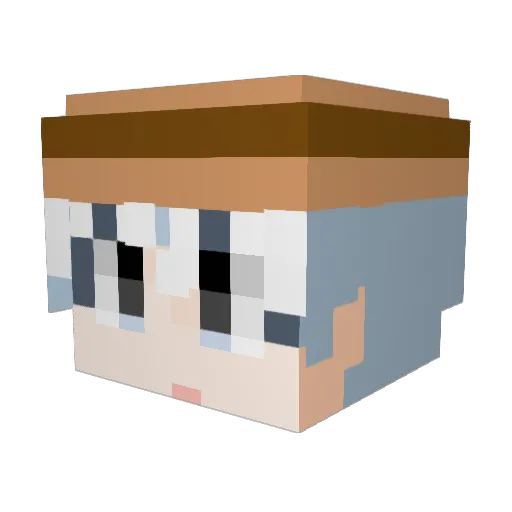 White_Raider Minecraft avatar head, 3D render
