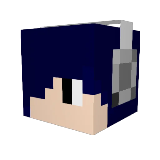 White_birds Minecraft avatar head, 3D render