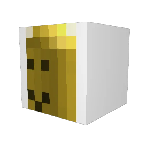 Whitelisted4504 Minecraft avatar head, 3D render