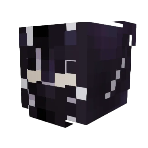 Whiteout76 Minecraft avatar head, 3D render