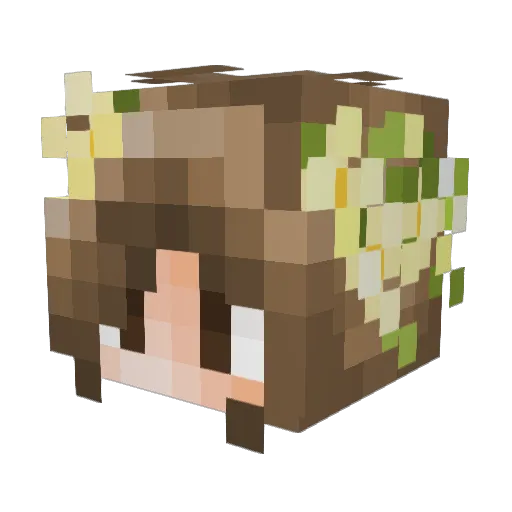 WhitesSakura Minecraft avatar head, 3D render