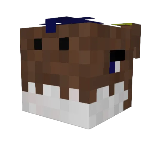 Whitex21 Minecraft avatar head, 3D render