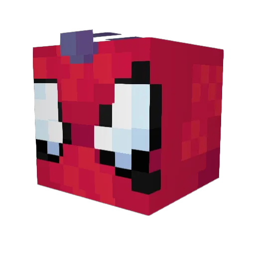 Whitey274 Minecraft avatar head, 3D render