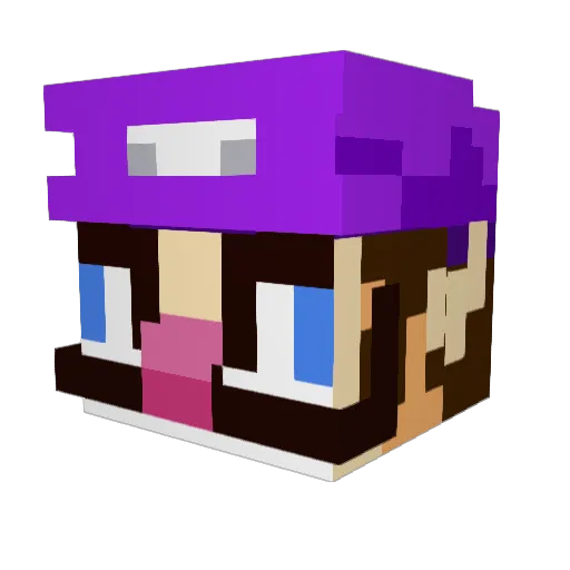 Whiteyy4 Minecraft avatar head, 3D render