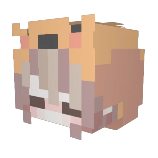 Whitney_97 Minecraft avatar head, 3D render
