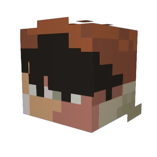 Whive Minecraft avatar head, 3D render