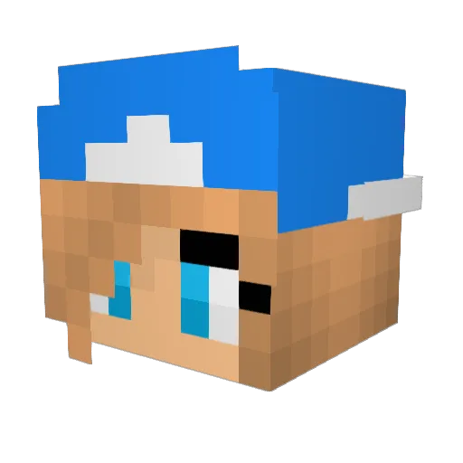 Whize1 Minecraft avatar head, 3D render
