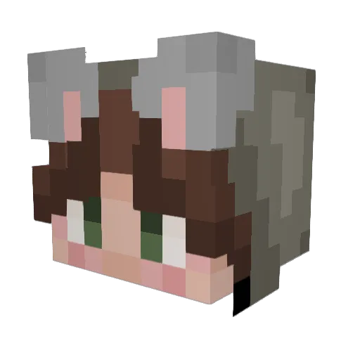 Who228 Minecraft avatar head, 3D render